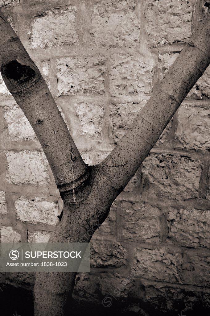 Letter Y Alphabet Stock Photo 18381023 Superstock