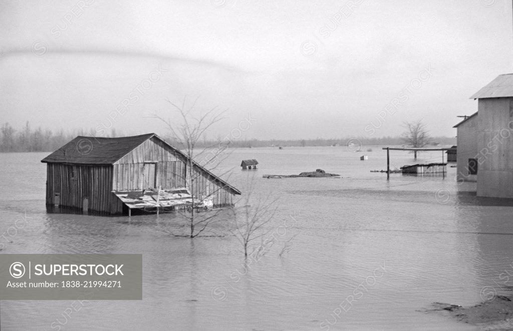 View of Flood from Train en route to Forrest City, Arkansas from