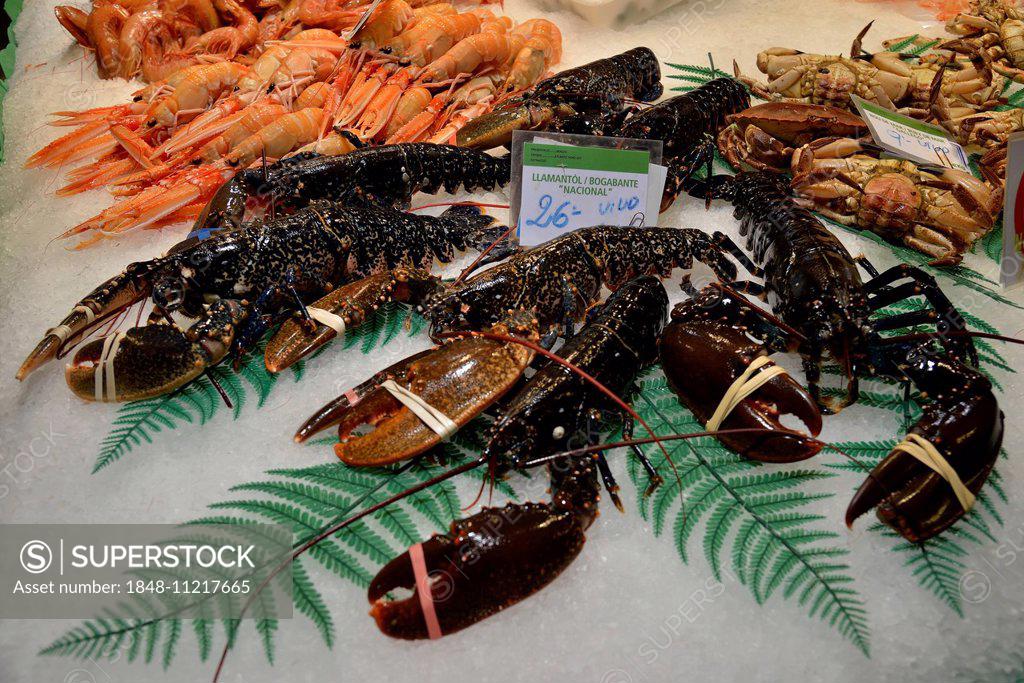 European lobsters at a fish stall in the market hall, Mercat de la