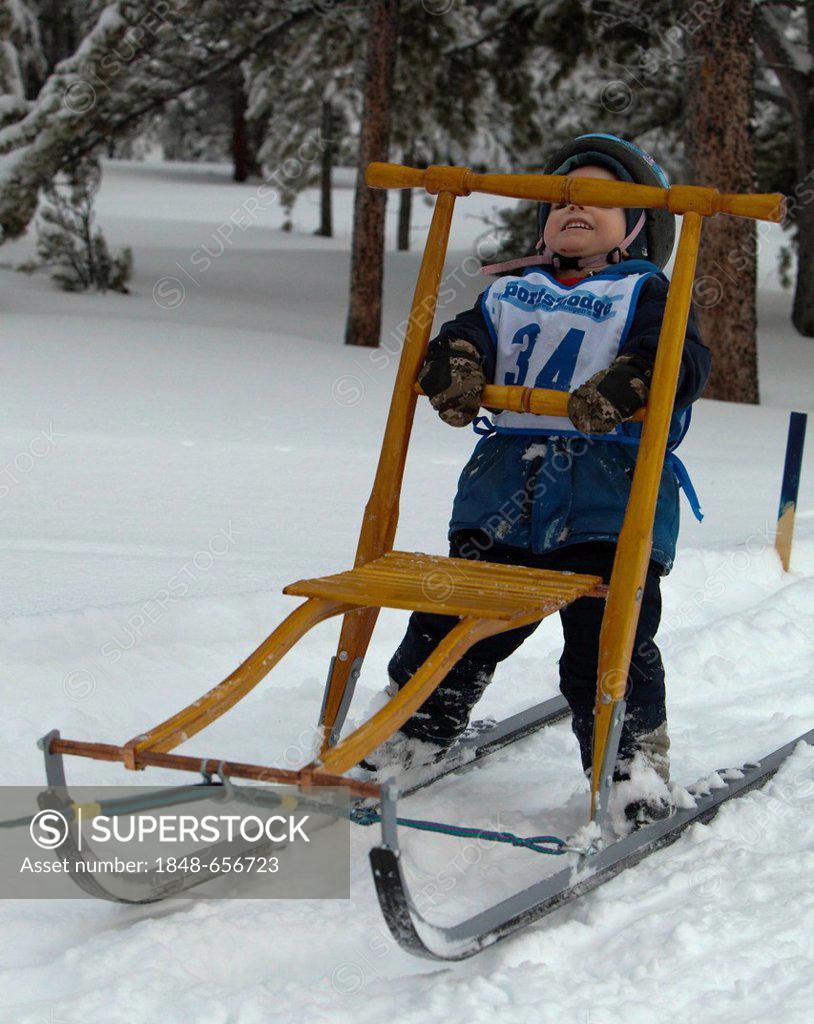 Young boy on a dog sled, kick sled, dog sledding, mushing, Carbon Hill