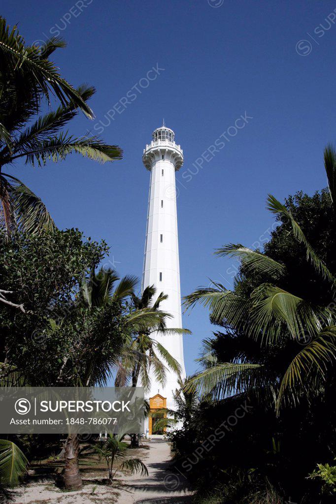 Lighthouse of Îlot Amédée or Le Phare Amédée between palm trees against