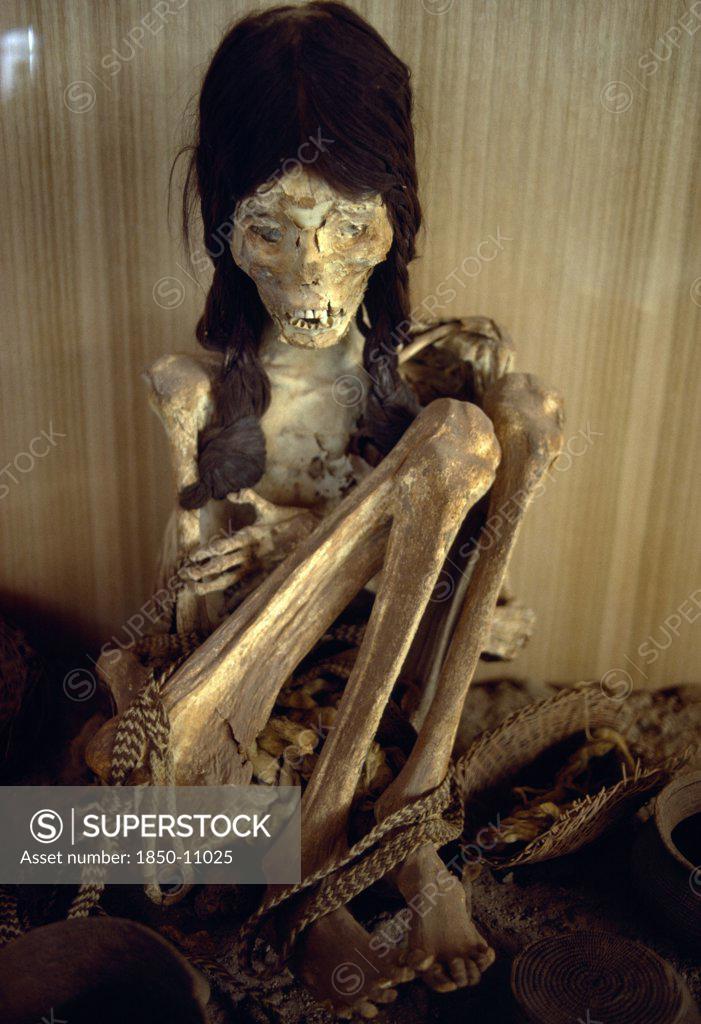 Chile, Antofagasta, San Pedro De Atacama, Chinchorro Mummy. Mummified