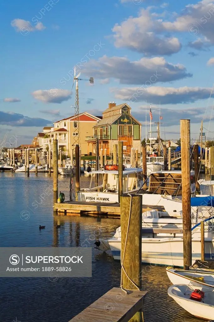 Cape May Harbor, Cape May County, New Jersey, USA SuperStock