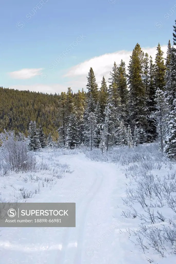 cross_country skiing trail in the foothills of the canadian rockies