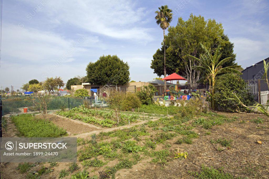 Stanford Avalon Gardens. Stanford Avalon Gardens is a 7.6 acre