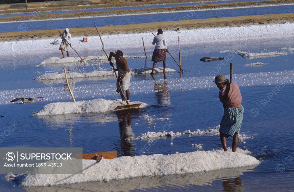 SALT PANS, SRI LANKA. Vicinity Hambantota. . SuperStock