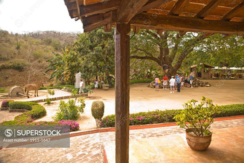 Los Osuna Tequila Farm Distillery since 1876 La Noria near Mazatlan