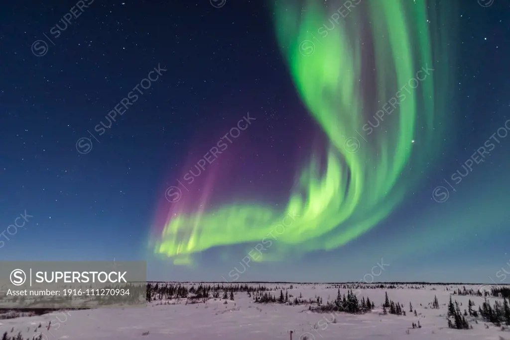 A superb display of aurora borealis seen on March 14, 2016 when it