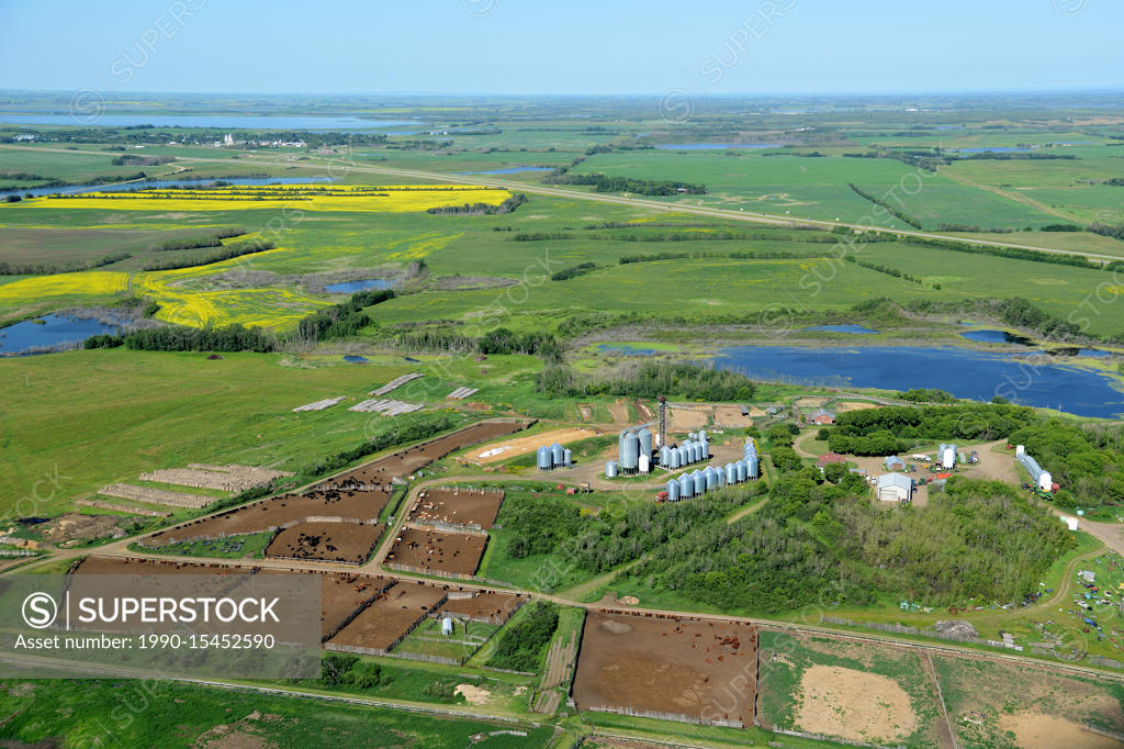 aerial, farm, feedlot, Duck Lake, Saskatchewan SuperStock