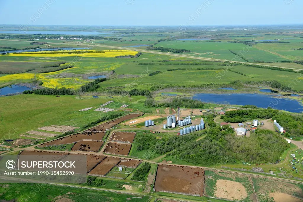 aerial, farm, feedlot, Duck Lake, Saskatchewan SuperStock