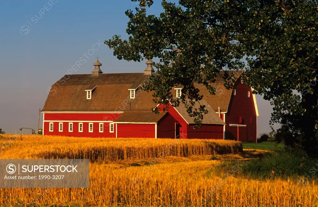 Red barn in Borden, Saskatchewan, Canada SuperStock