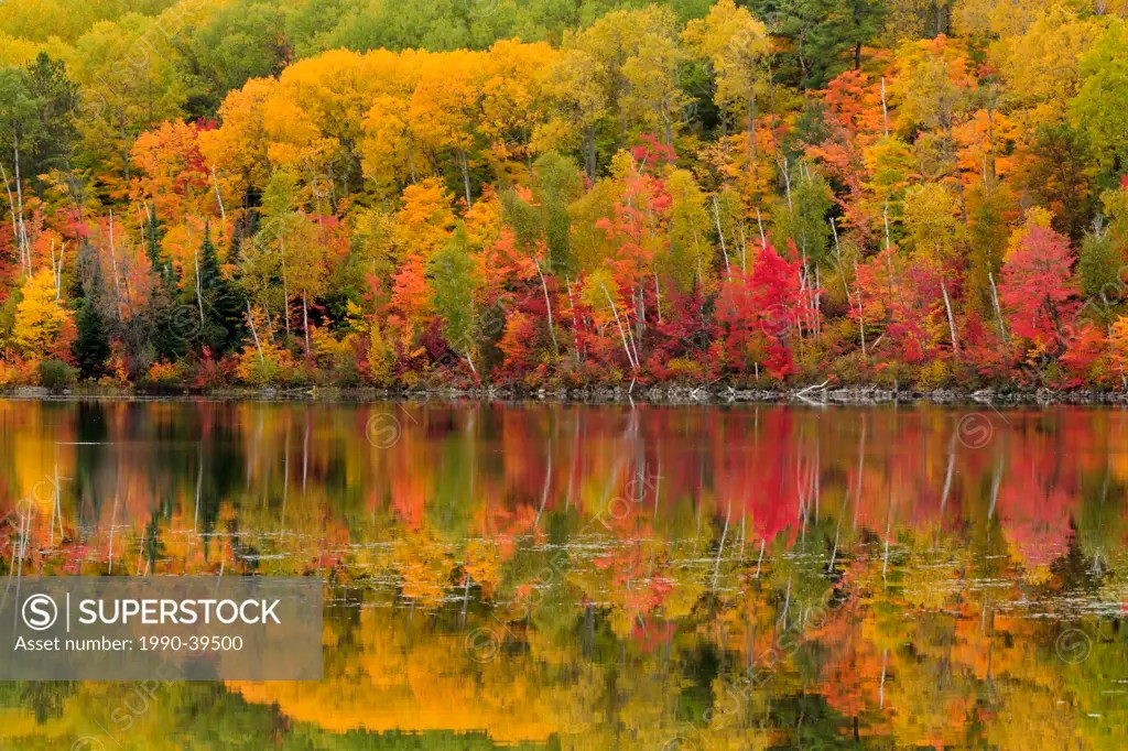 Autumn reflections in Apsey Lake. Espanola, Ontario, Canada. SuperStock