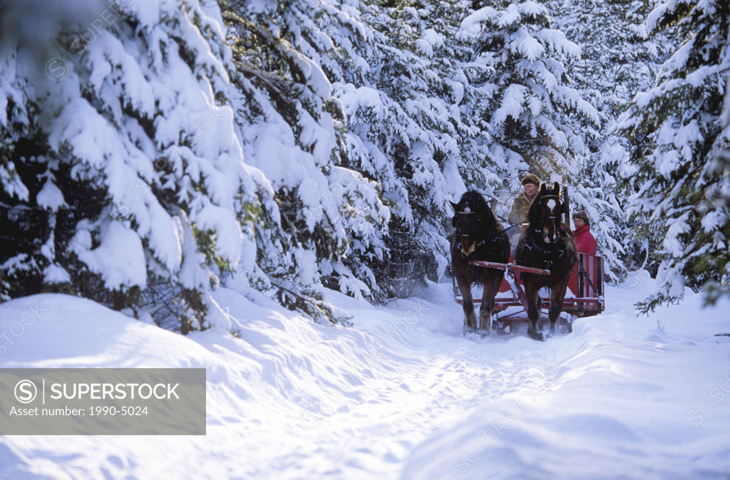 Sleigh ride in Bonshaw, Prince Edward Island, Canada SuperStock