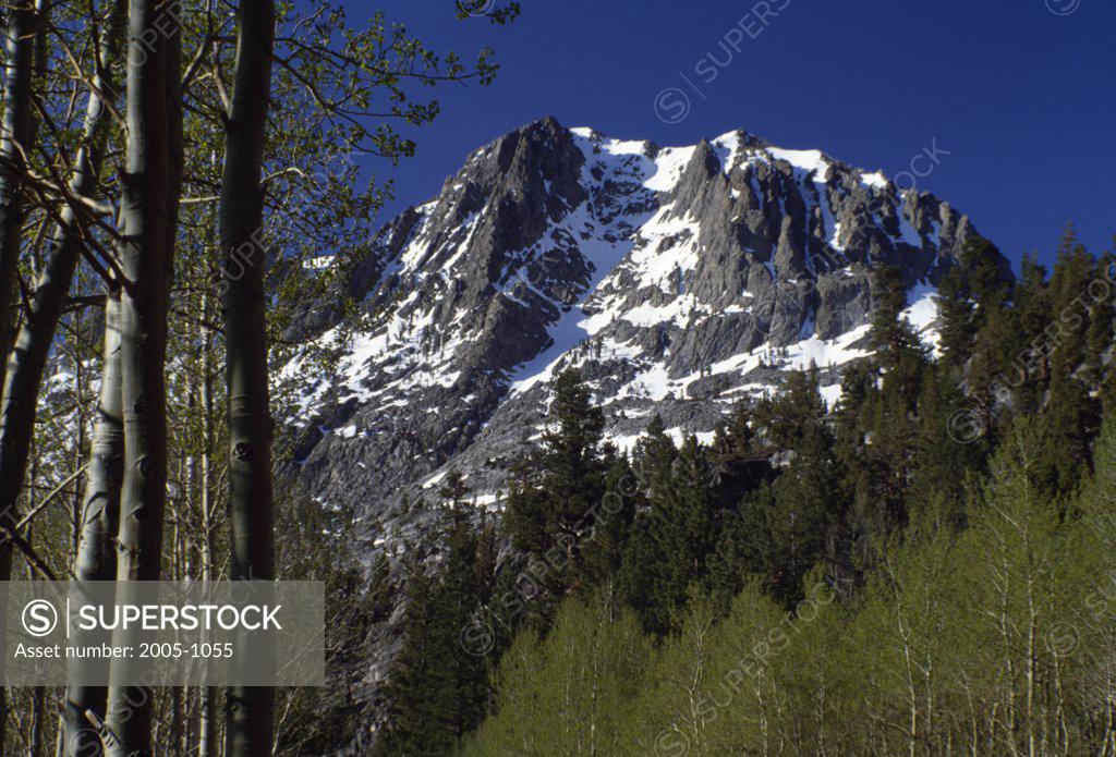 Sierra Nevada Mountains California USA SuperStock