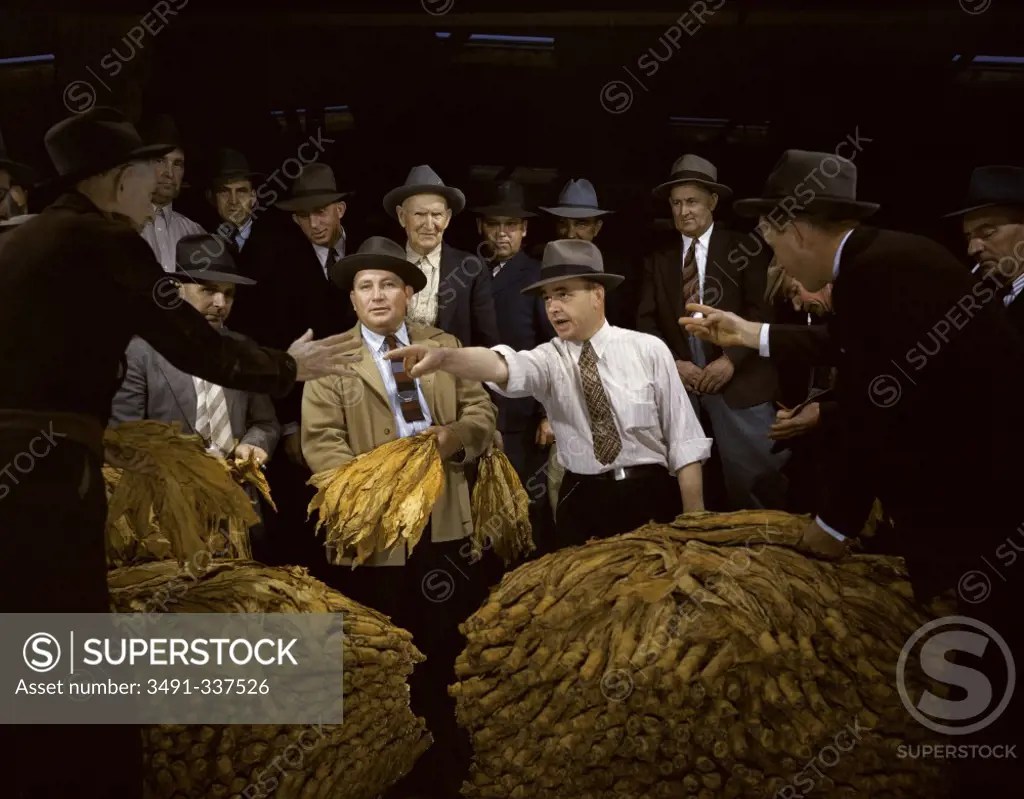 A tobacco auction, Winston Salem, North Carolina, USA SuperStock