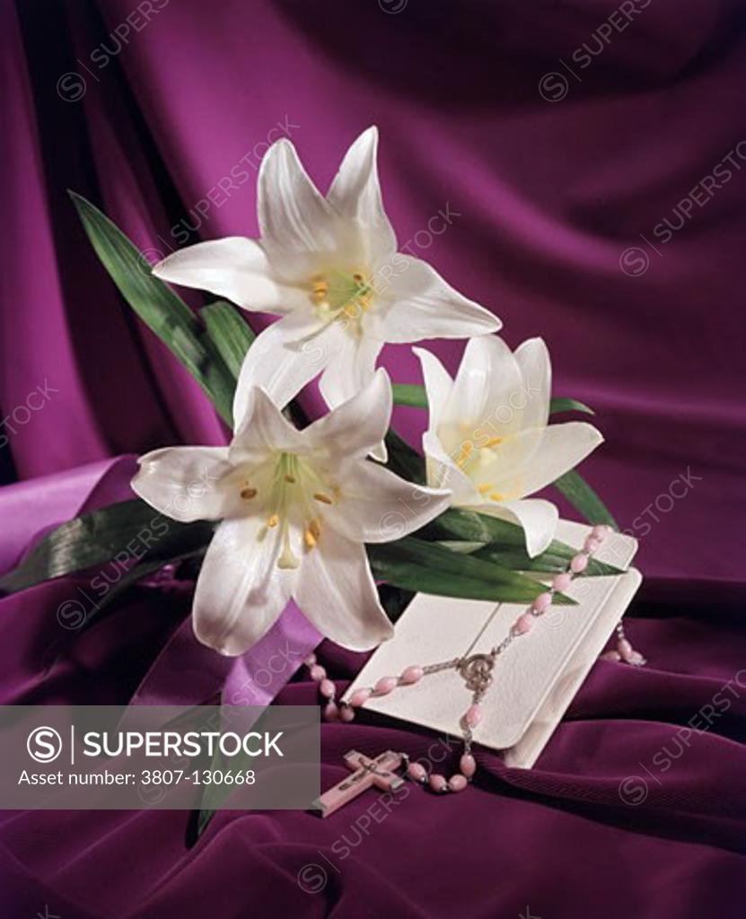 Easter Lily flowers and rosary beads with the Bible SuperStock