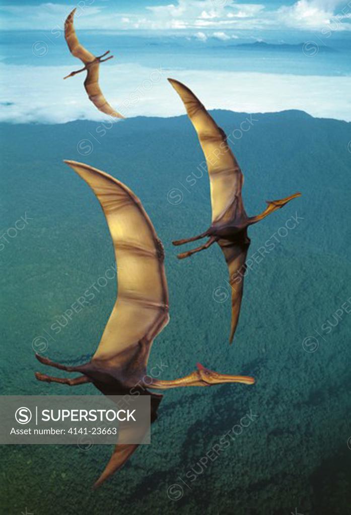 quetzalcoatlus a giant flying pterosaur with a 36 feet wide wingspan