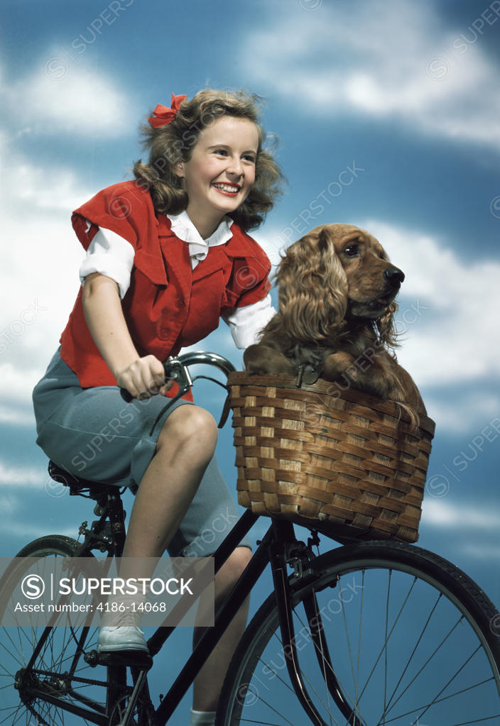 1940S 1950S Smiling Teen Girl Riding Bicycle With Cocker Spaniel In Bike Basket SuperStock