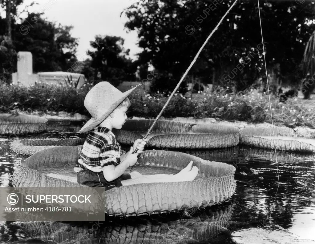 1940S Young Boy Floating On Giant Lilly Pad Fishing In Pond SuperStock
