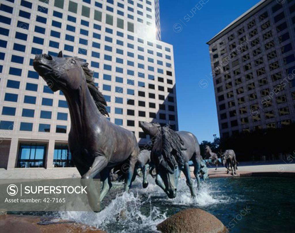 Statue of horses in front of buildings, Las Colinas, Irving, Texas, USA SuperStock