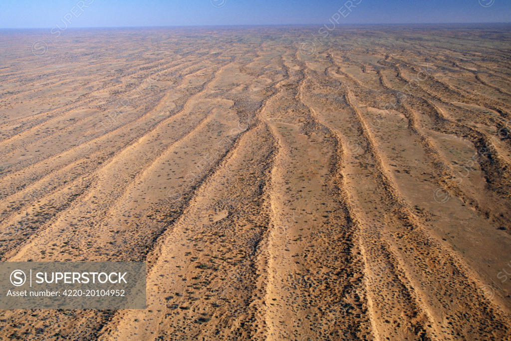 Australia Simpson Desert. Dunefields. Sand dunes & claypans in