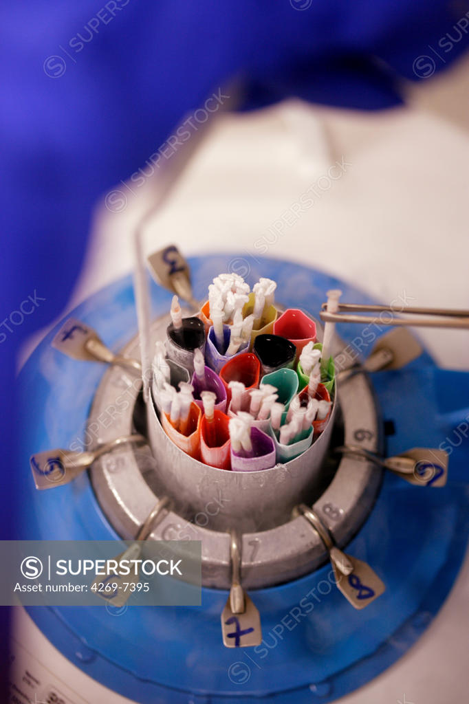 Cryopreservation of frozen sperm straws and embryos in liquid nitrogen