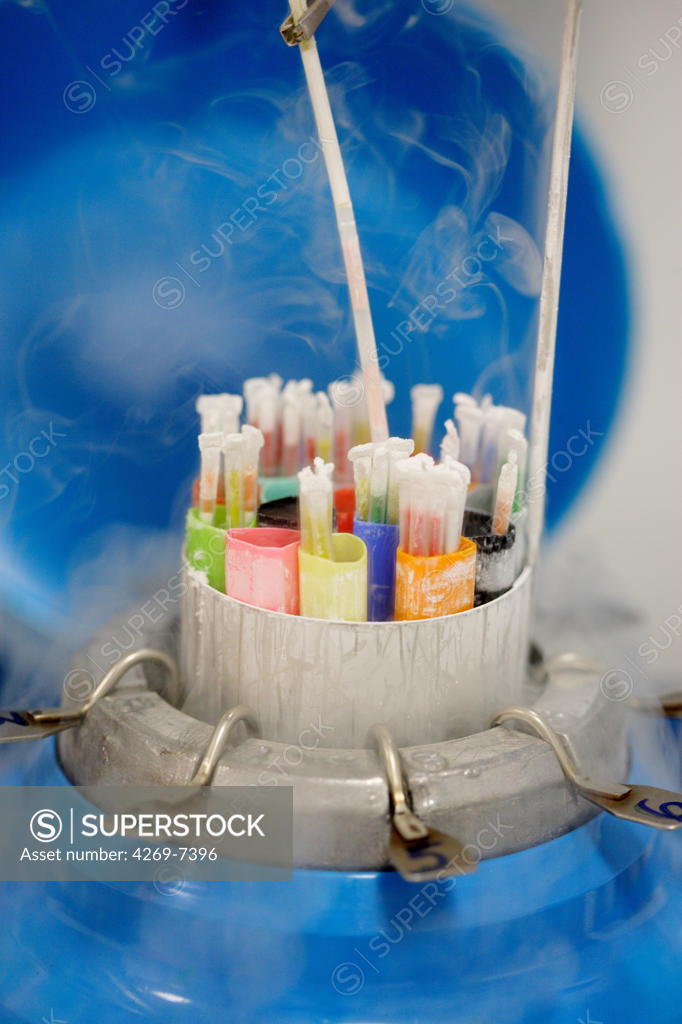 Cryopreservation of frozen sperm straws and embryos in liquid nitrogen