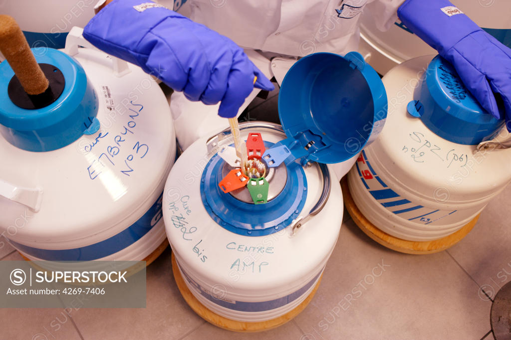 Cryopreservation of frozen sperm straws and embryos in liquid nitrogen