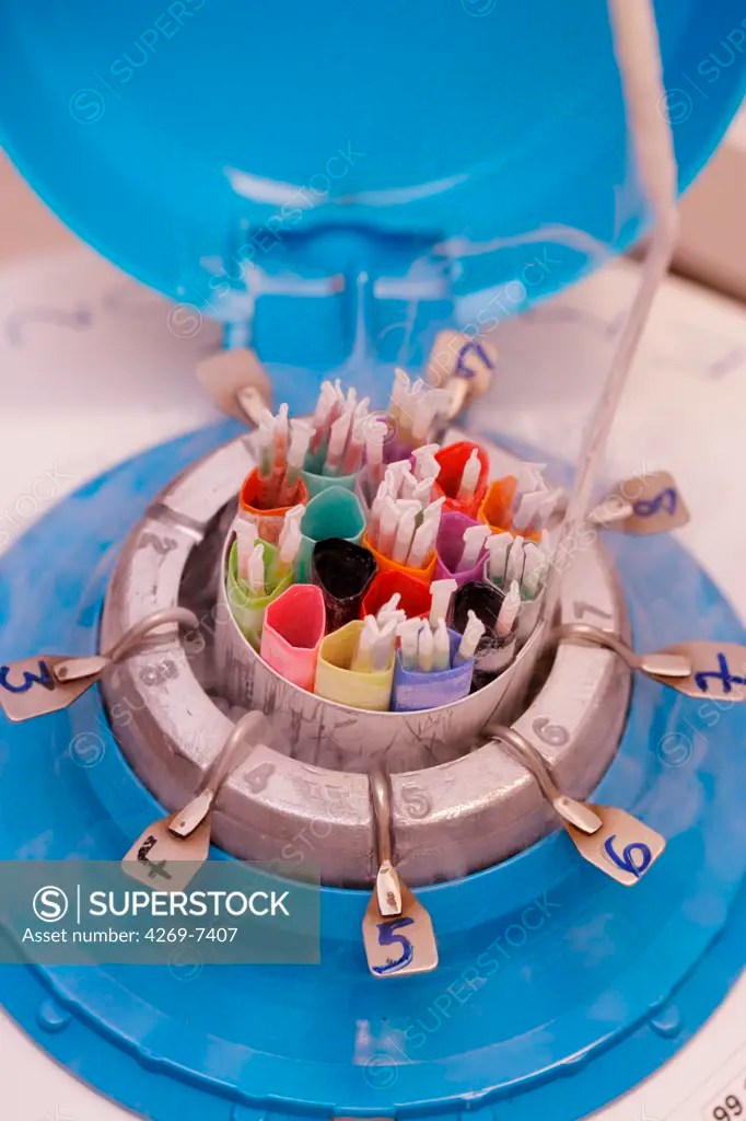 Cryopreservation of frozen sperm straws and embryos in liquid nitrogen