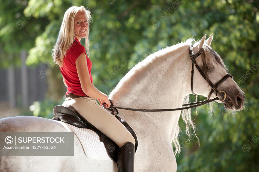 Pure Spanish Horse, Andalusian. Smiling woman riding on the stallion