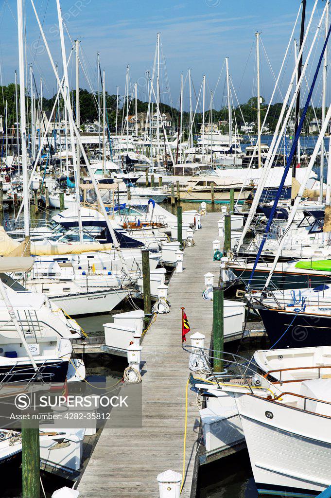 USA, Maryland, Annapolis. Docked sailboats in the Annapolis marina