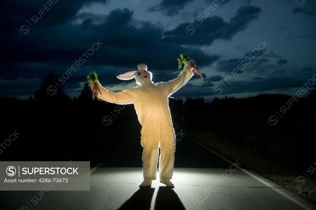 A man in a bunny suit caught in the headlights of a car while stealing