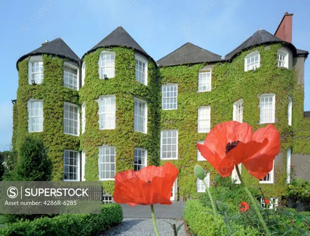 Exterior rear view of the Butler House on Patrick Street, Kilkenny