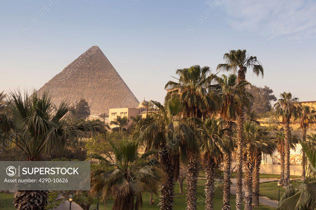 Palm trees with the pyramid in the background, Giza Pyramids, Giza, Cairo, Egypt SuperStock