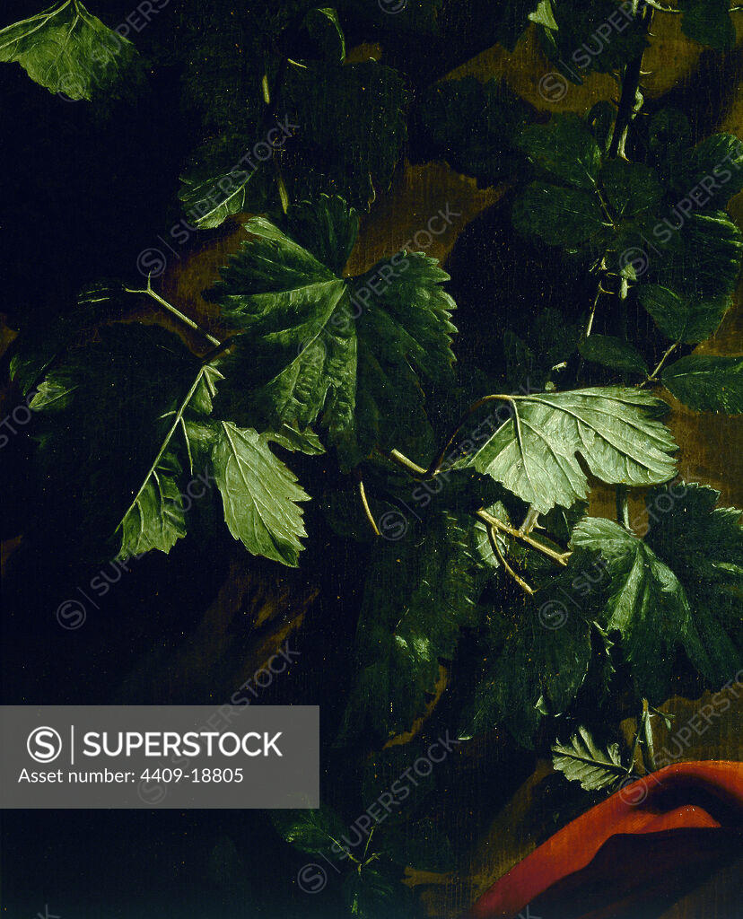 SAN JUAN BAUTISTA DETALLE DE LAS HOJAS DE PARRA 159798 OLEO