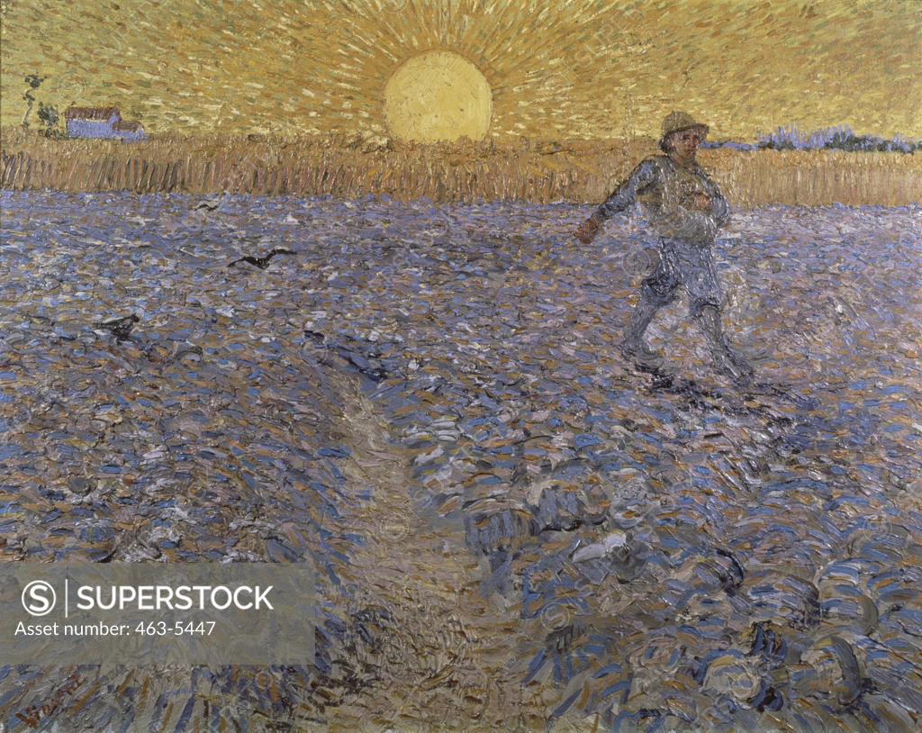 The Sower 1888 Vincent van Gogh (18531890 Dutch) Oil on canvas Kroller