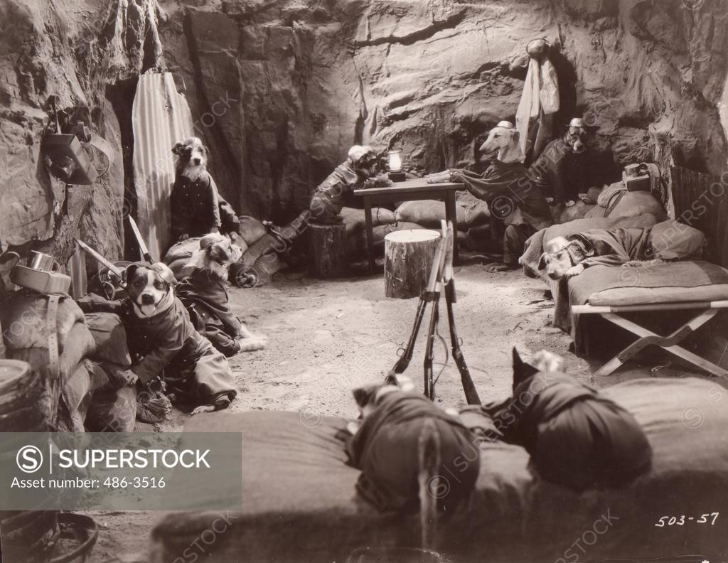 Dog soldiers in cave SuperStock