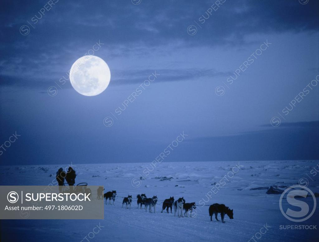 Iditarod Trail Nome Alaska USA SuperStock