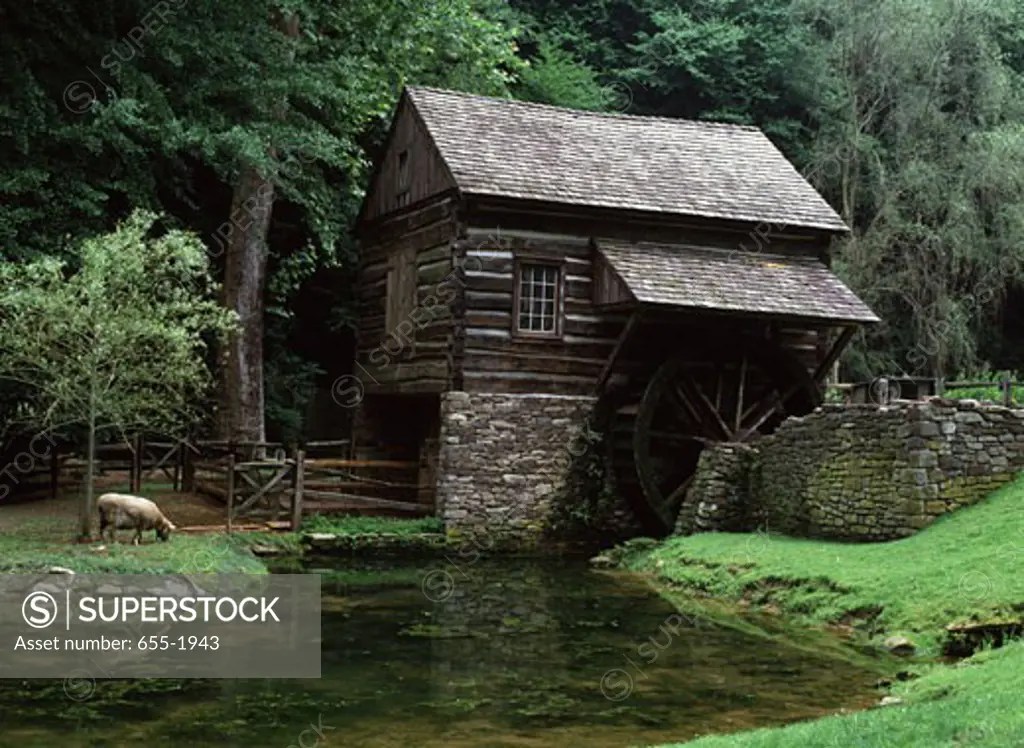 Watermill in a forest, Old Cuttalossa Mill, Bucks County, Pennsylvania