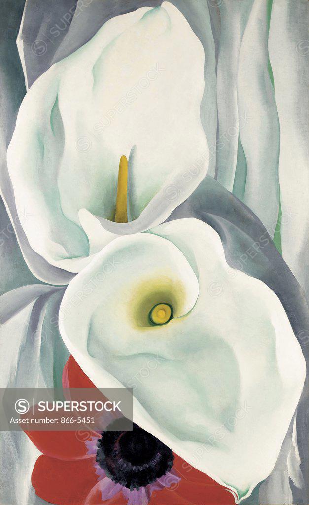 Calla Lilies With Red Anemone O`Keeffe (18871986 American) Oil