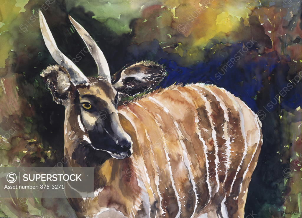 Africa, Kenya, Safari, Bongo III by John Bunker, watercolor, 1996