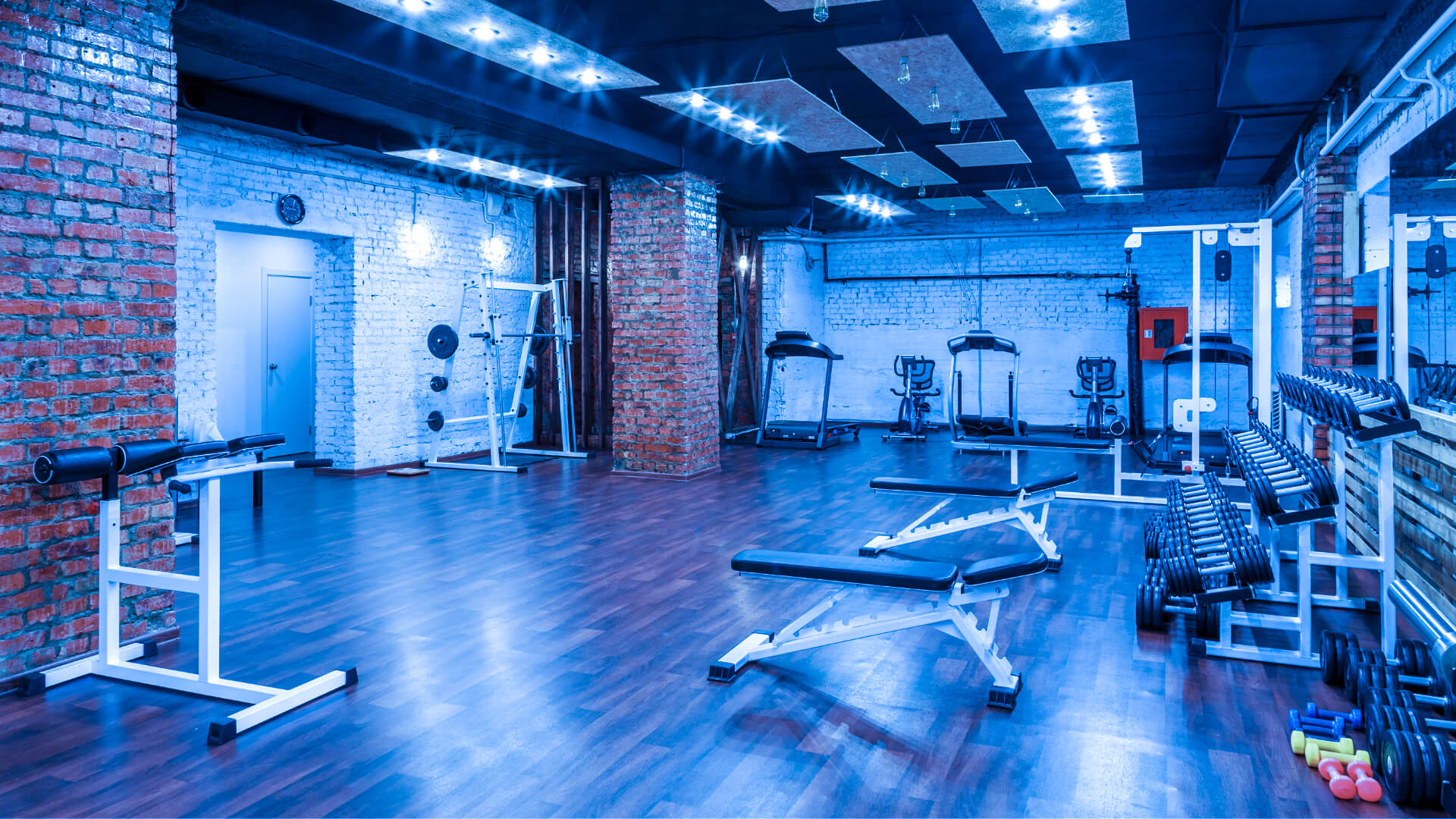 Surf Workout Program Surf Strength Coach