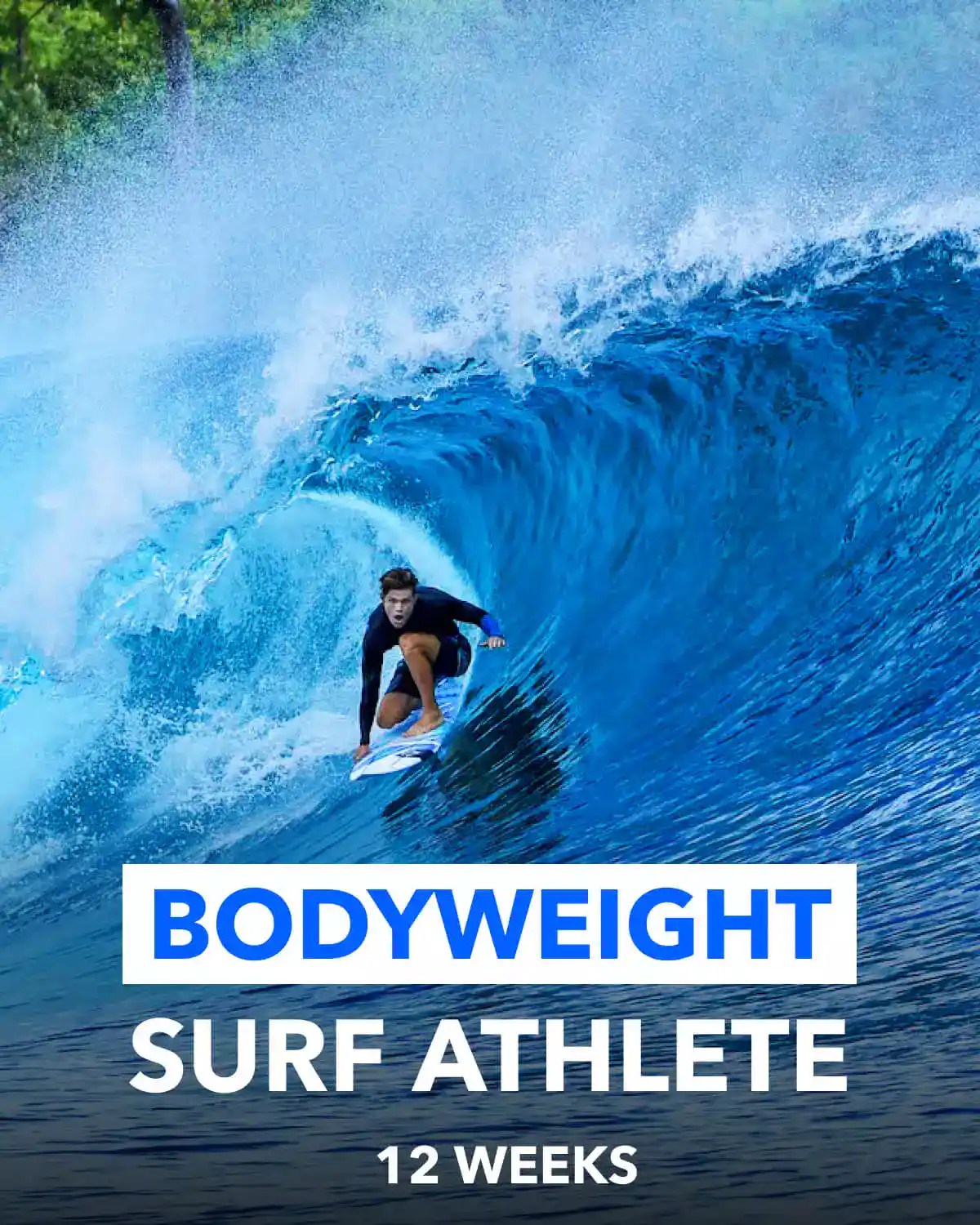 Free Surf Training Program Learn to Surf Surf Strength Coach