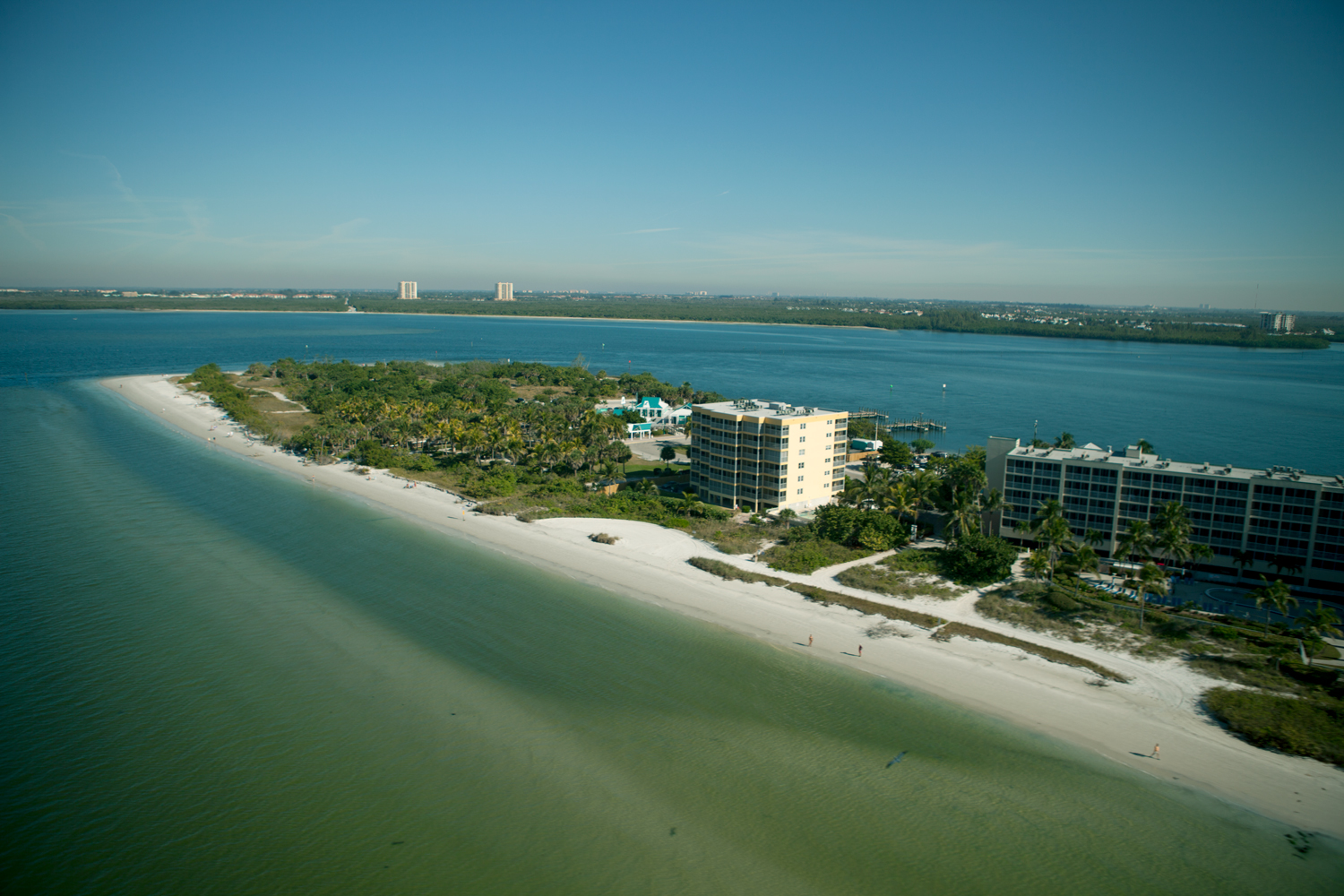 Arriba 68+ imagen lee county homestead exemption Thptnganamst.edu.vn