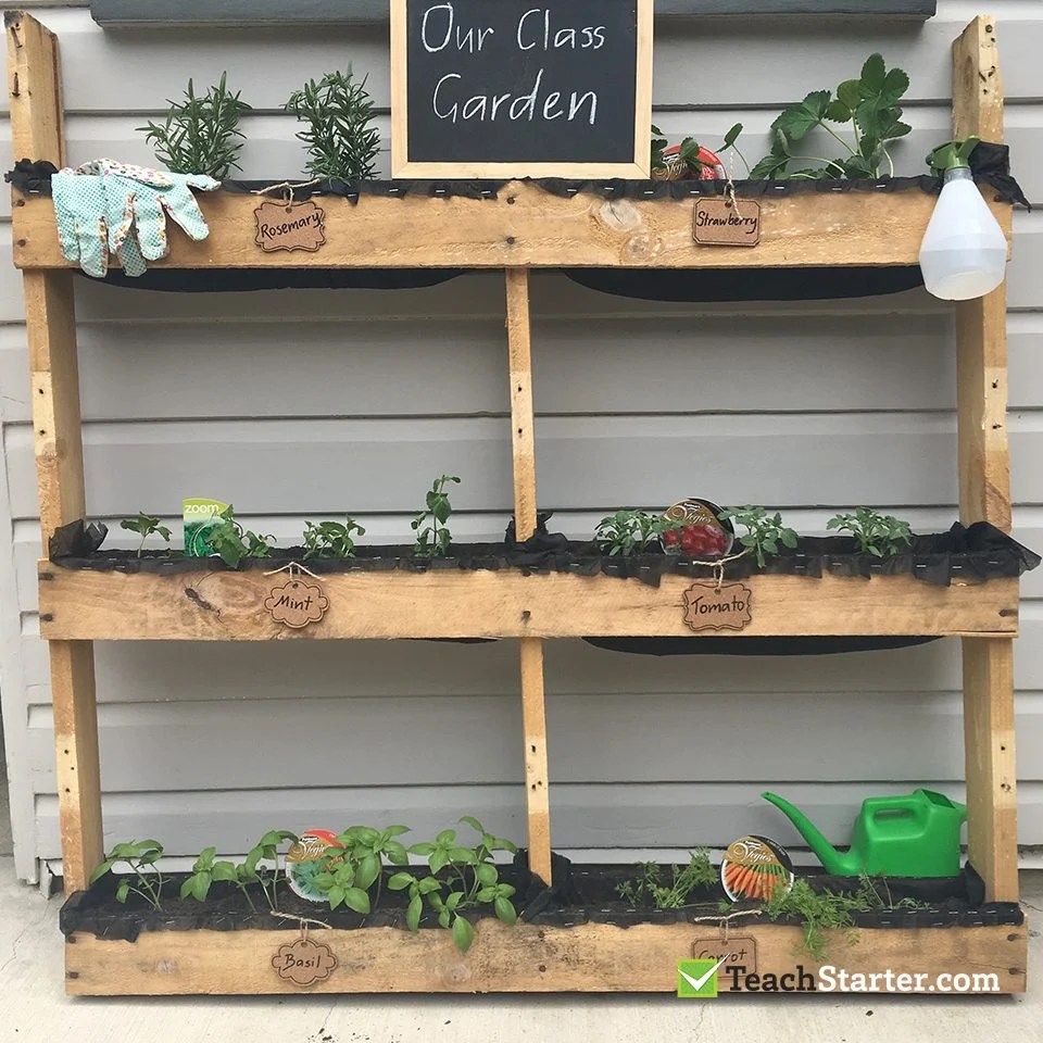 A Simple DIY Classroom Garden Teach Starter