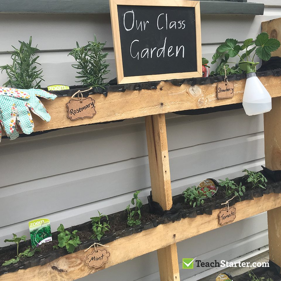 A Simple DIY Classroom Garden Teach Starter