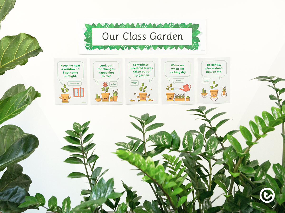 Plant Power 5 Benefits of Plants in the Classroom Teach Starter
