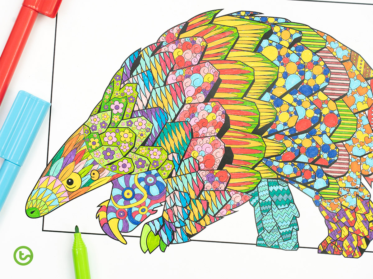 NEW Mindful Colouring Pages Amazing Animals! Teach Starter