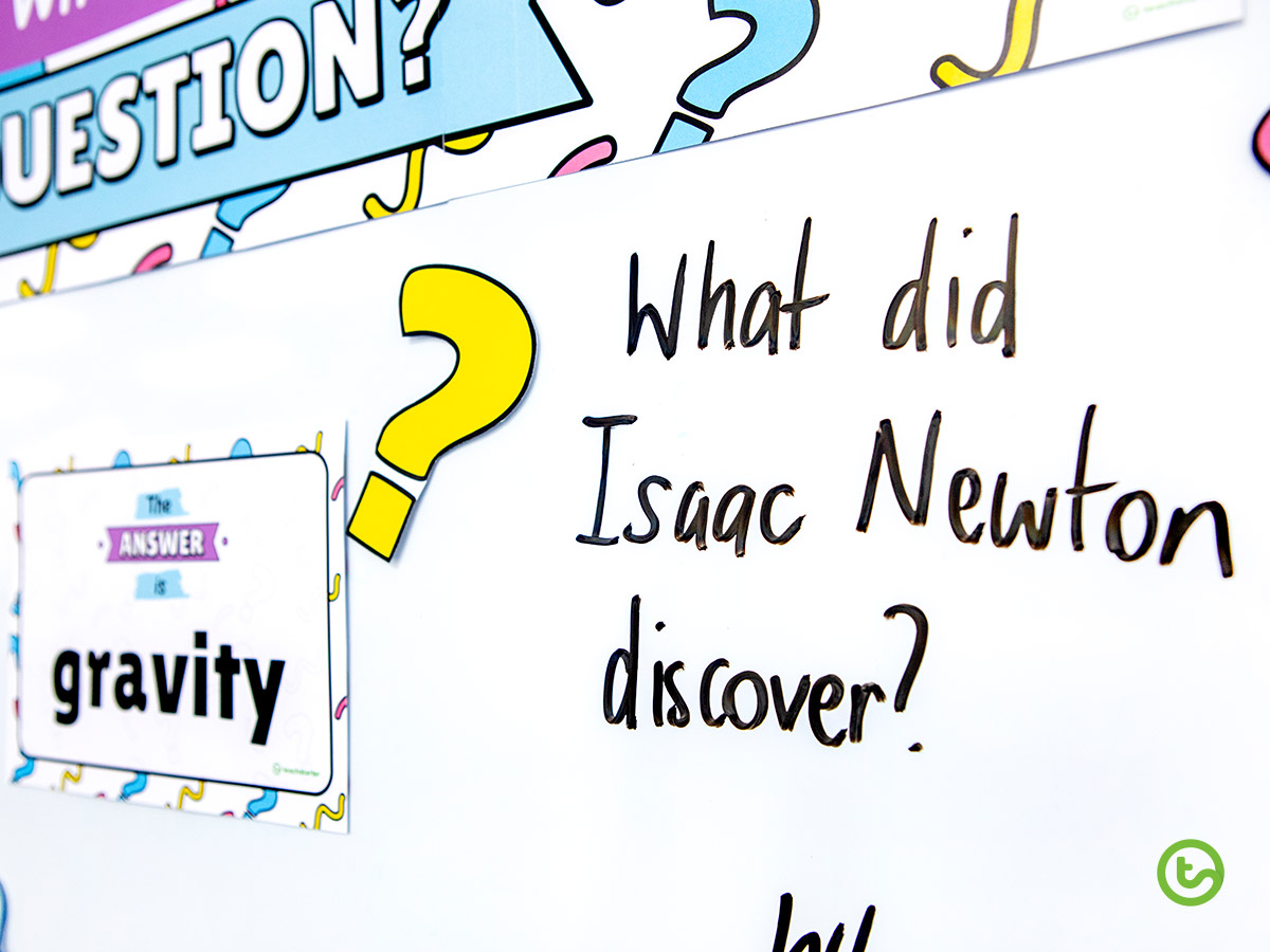 NEW Interactive Wall Display What's the Question? Teach Starter