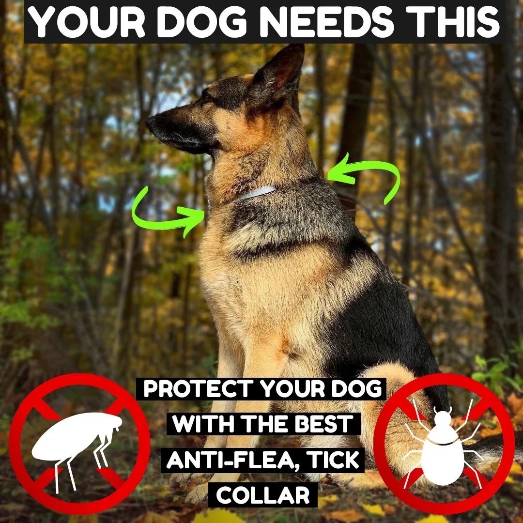 🐶The BIOCOLLAR (ADVANCED PROTECTION) BUY 1 GET 1 FREE😺